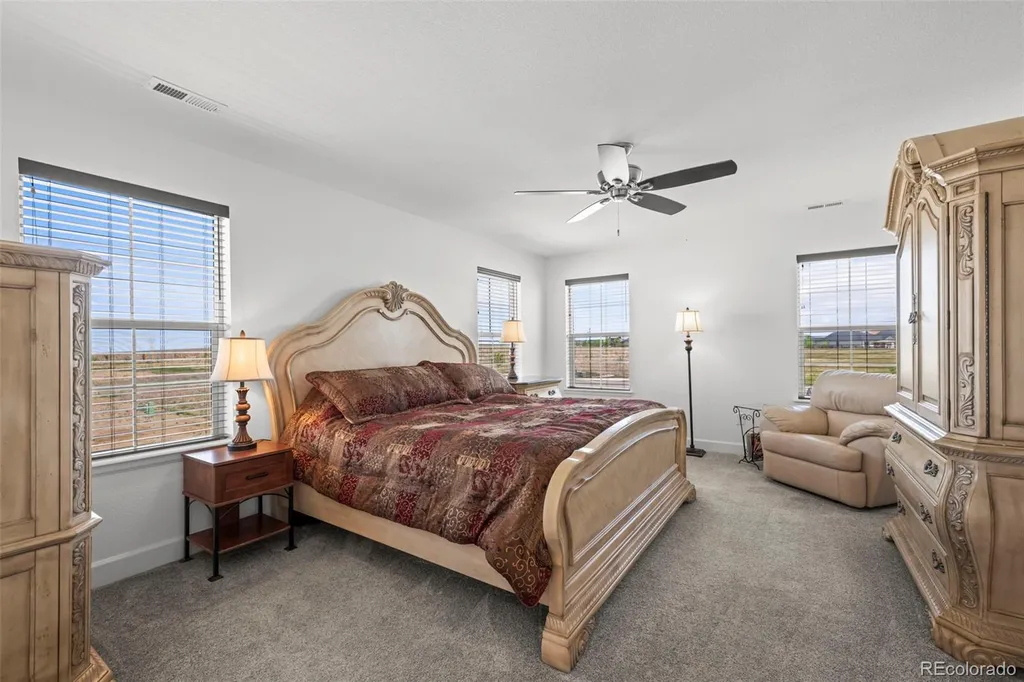 3382 Indian Grass Street Dacono CO 80514