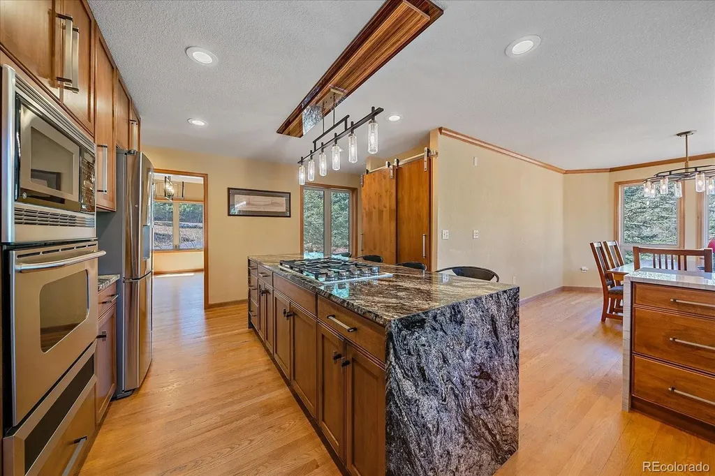9948 S Turkey Creek Road Morrison CO 80465