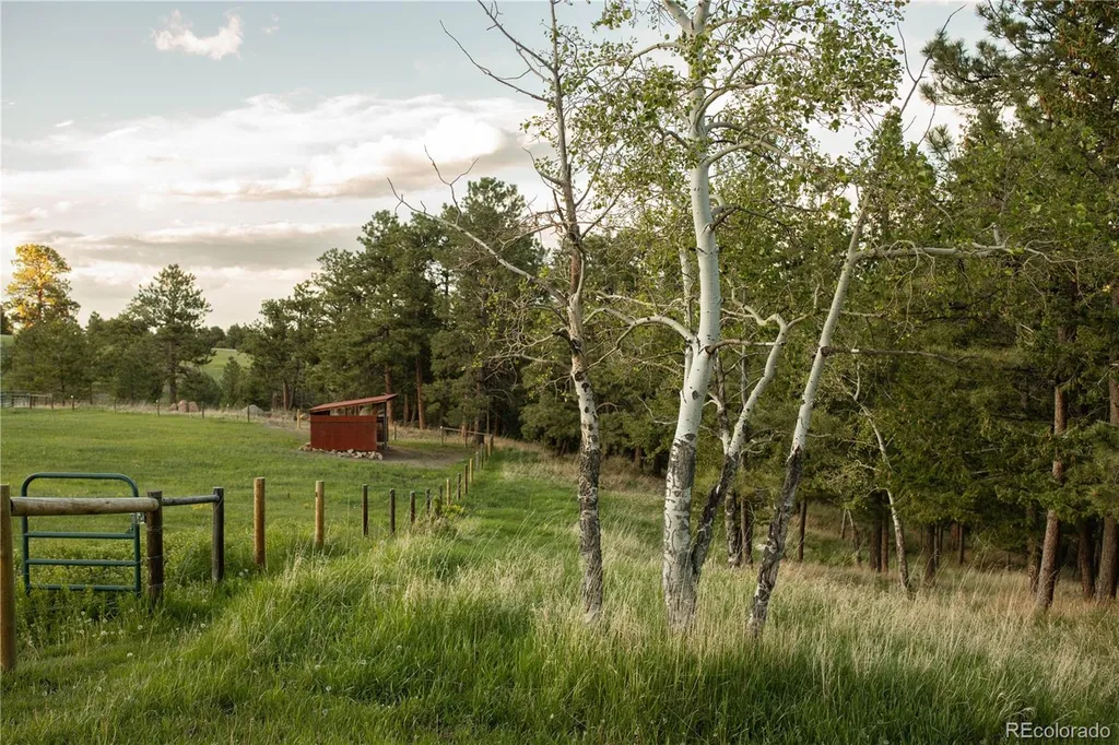 5276 S Bear Mtn. Drive Evergreen CO 80439