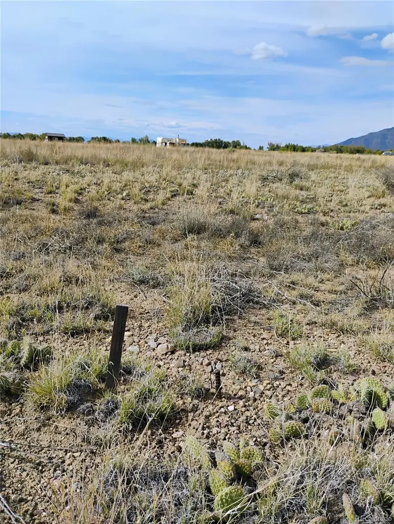 1382 Saddle Rock Trail Crestone CO 81131