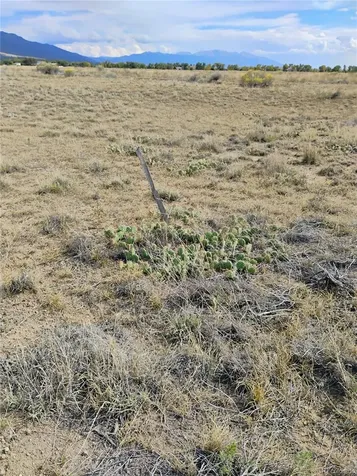 1382 Saddle Rock Trail Crestone CO 81131