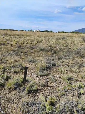 1382 Saddle Rock Trail Crestone CO 81131