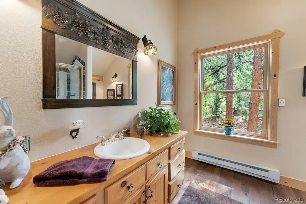 29700 S Sunset Trail Conifer CO 80433