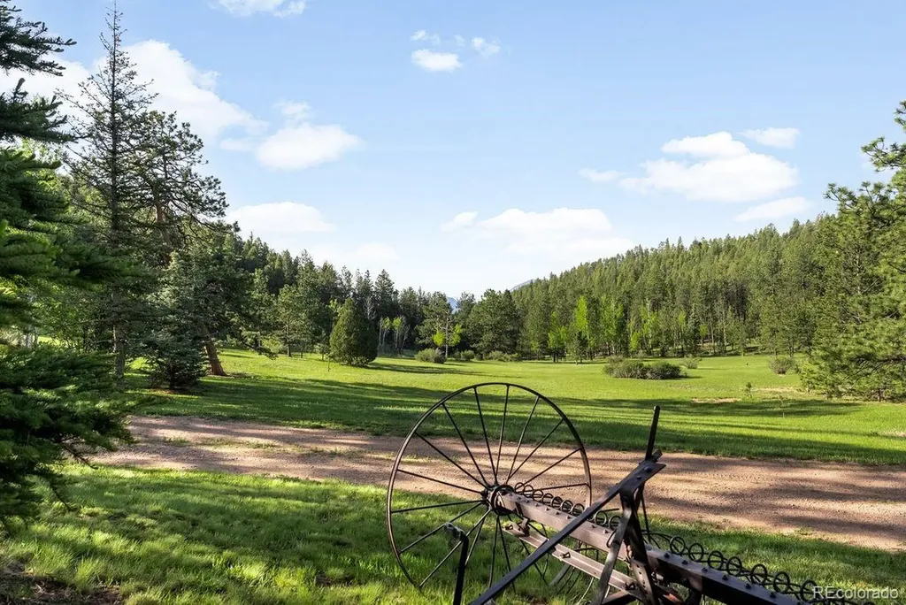29700 S Sunset Trail Conifer CO 80433