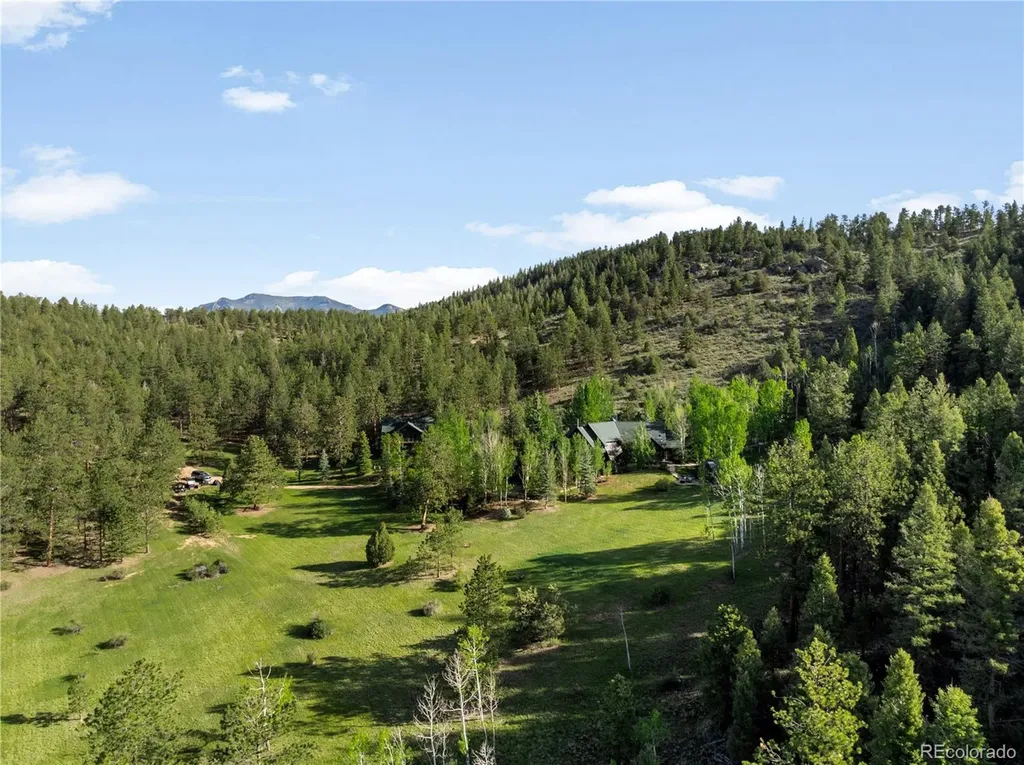 29700 S Sunset Trail Conifer CO 80433