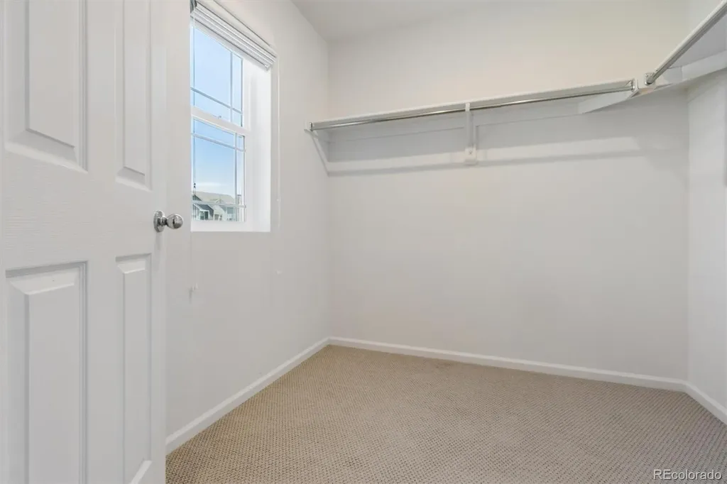 399 Courtfield Way Castle Rock CO 80108