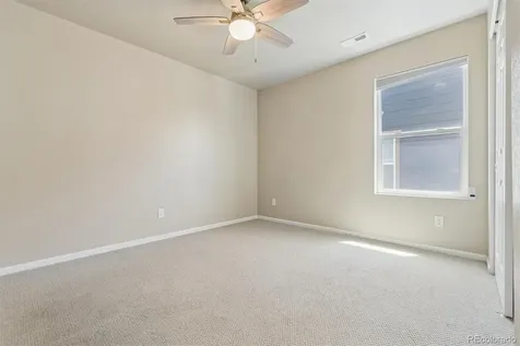 399 Courtfield Way Castle Rock CO 80108