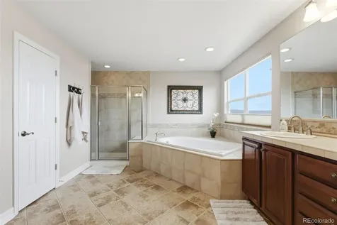 3302 Running Deer Drive Castle Rock CO 80109