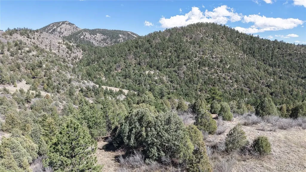 2050 Coyote Spur Golden CO 80403