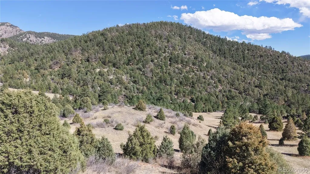 2050 Coyote Spur Golden CO 80403