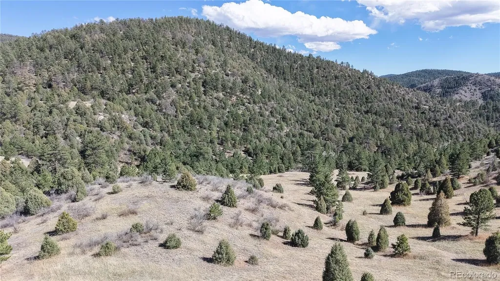 2050 Coyote Spur Golden CO 80403