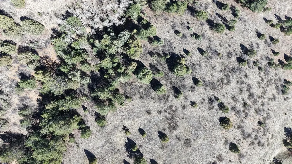 2050 Coyote Spur Golden CO 80403