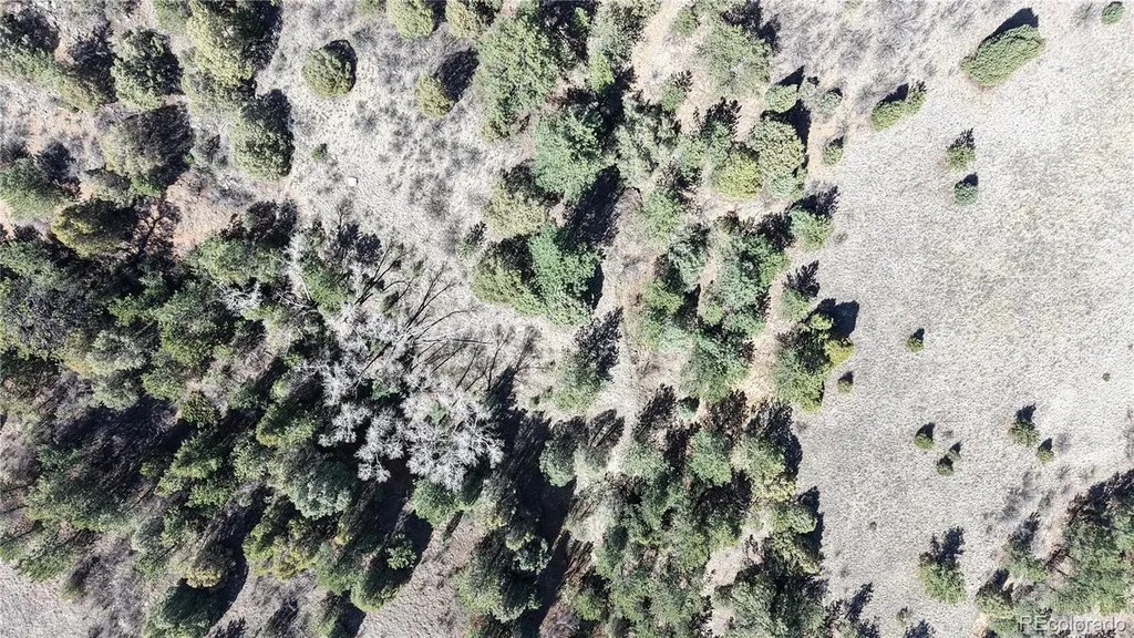 2050 Coyote Spur Golden CO 80403