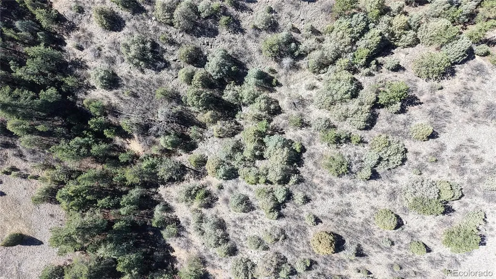 2050 Coyote Spur Golden CO 80403