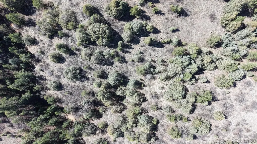 2050 Coyote Spur Golden CO 80403
