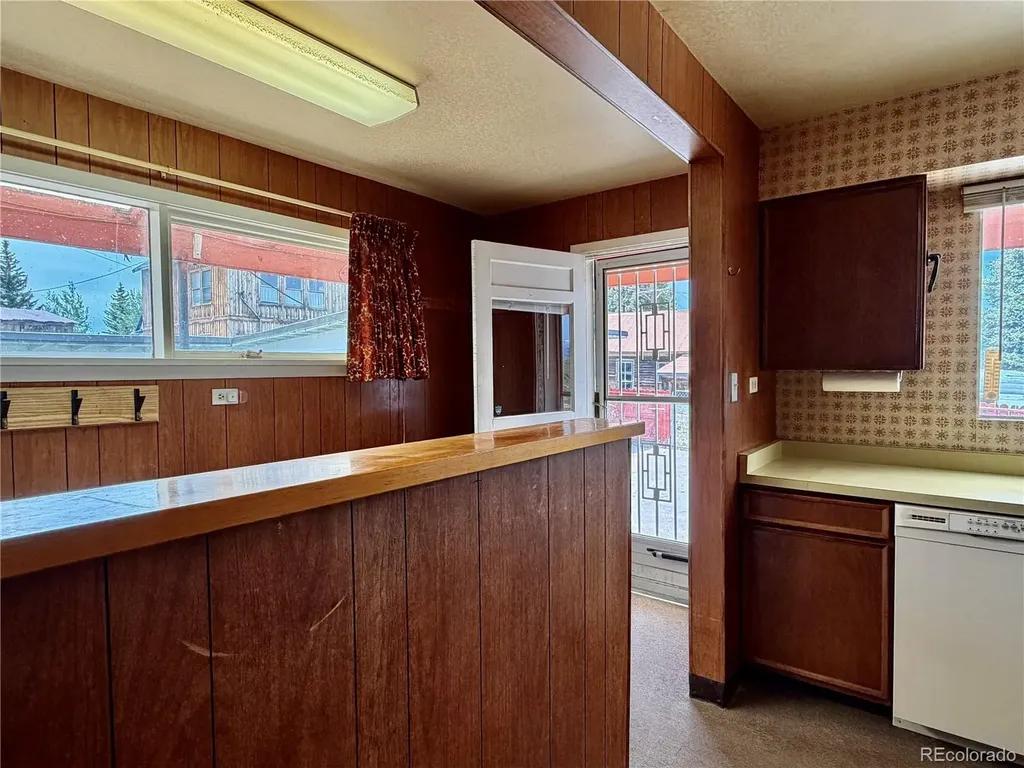 421 W 8th Street Leadville CO 80461