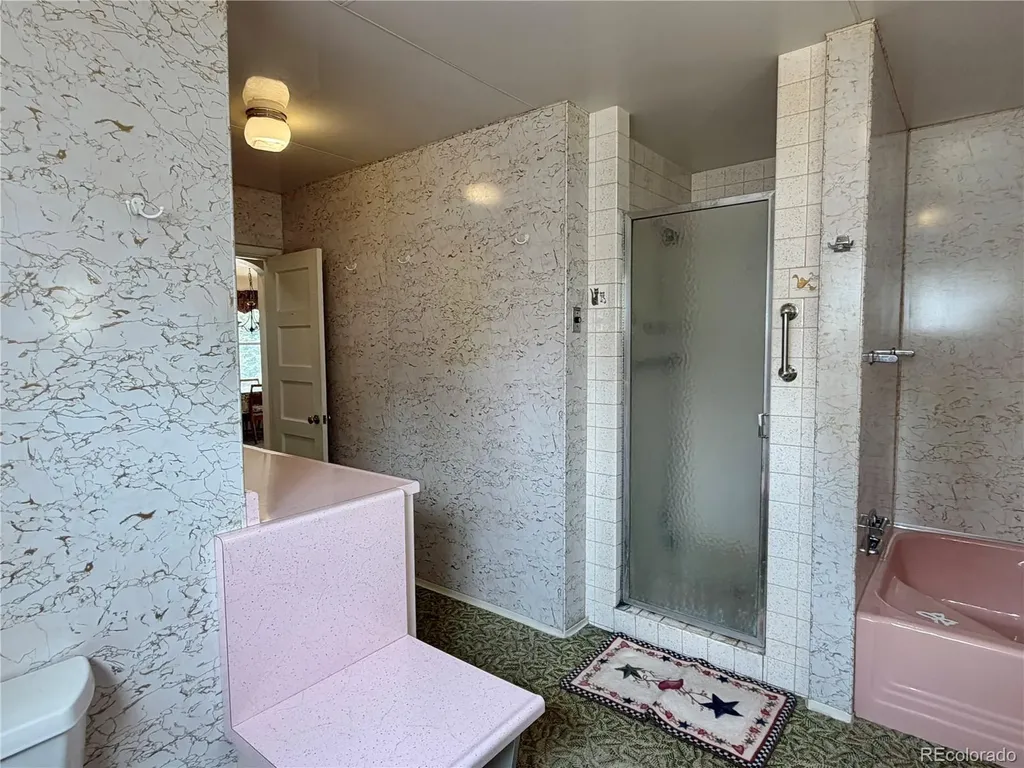 421 W 8th Street Leadville CO 80461