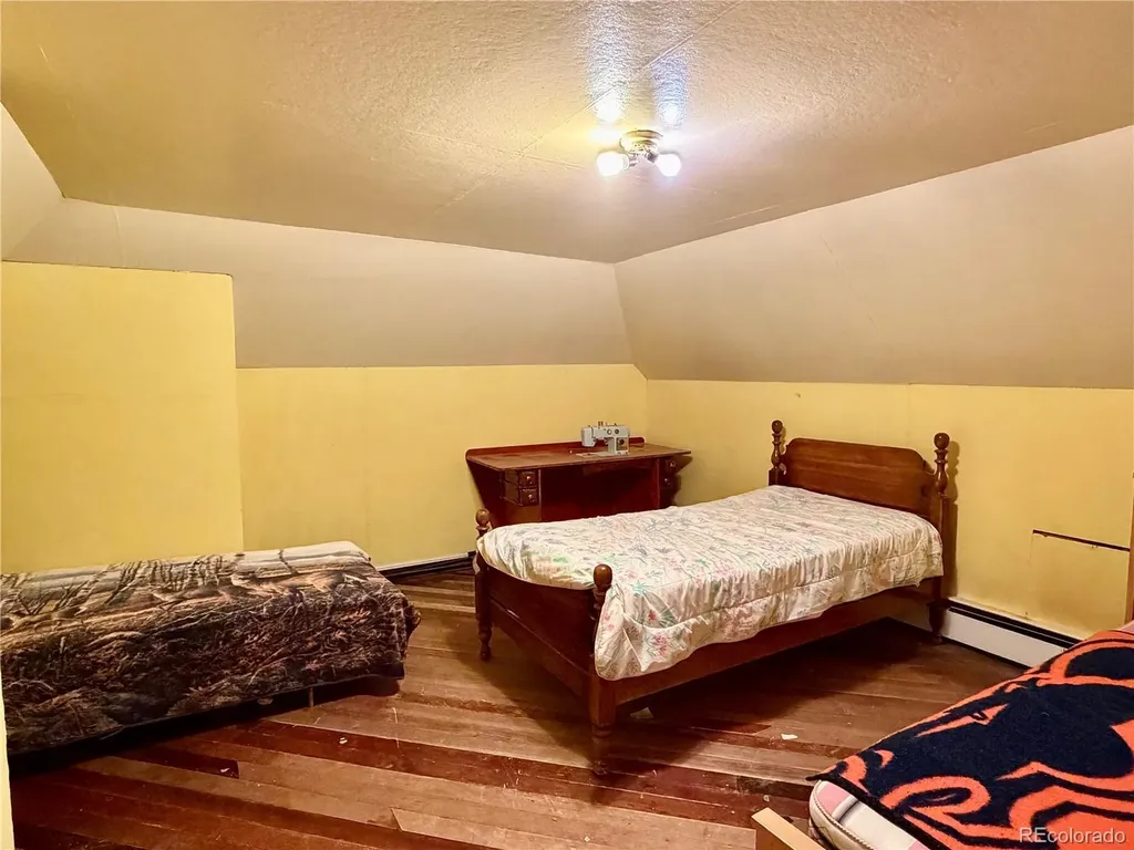 421 W 8th Street Leadville CO 80461