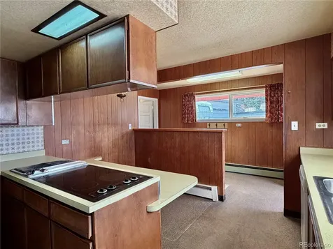 421 W 8th Street Leadville CO 80461