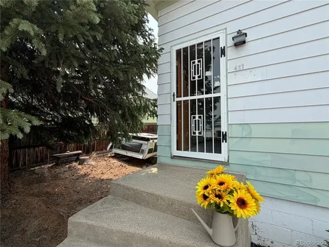421 W 8th Street Leadville CO 80461