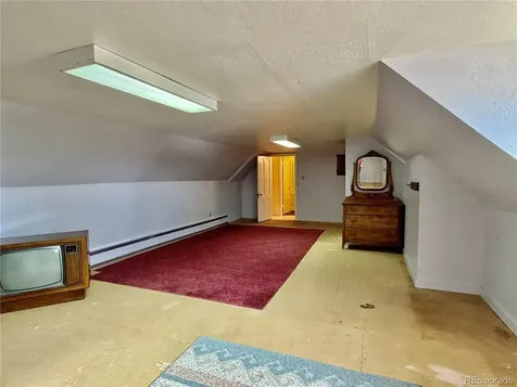421 W 8th Street Leadville CO 80461