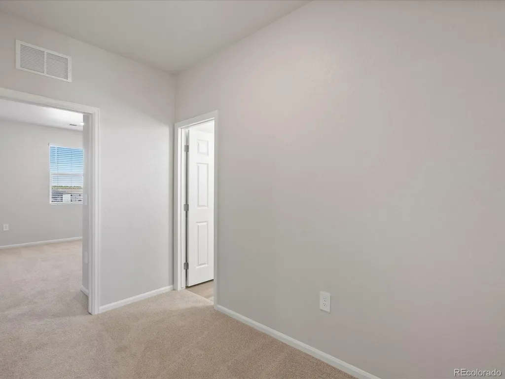 1637 Yampa River Drive Windsor CO 80550