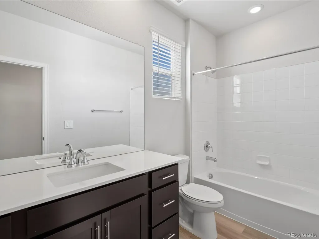 1637 Yampa River Drive Windsor CO 80550