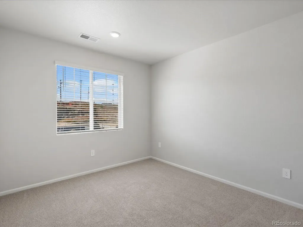 1637 Yampa River Drive Windsor CO 80550