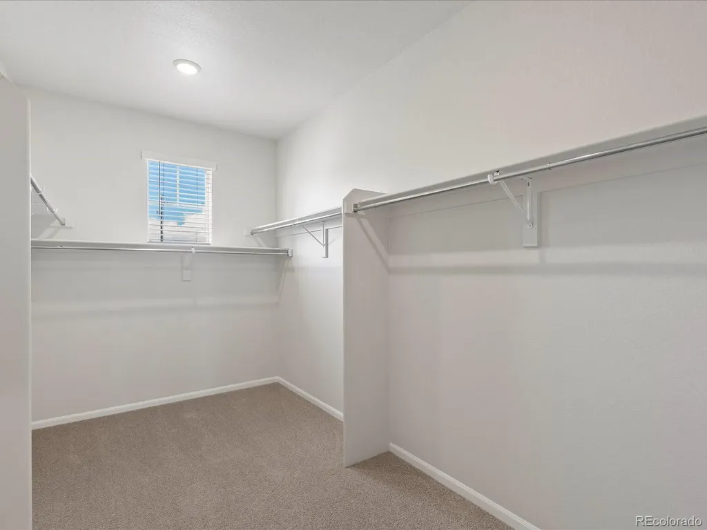 1637 Yampa River Drive Windsor CO 80550
