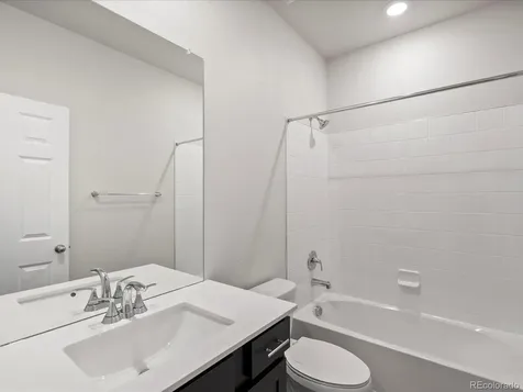1637 Yampa River Drive Windsor CO 80550