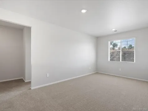 1637 Yampa River Drive Windsor CO 80550