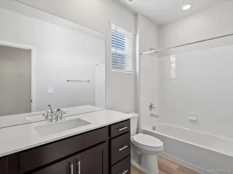 1637 Yampa River Drive Windsor CO 80550