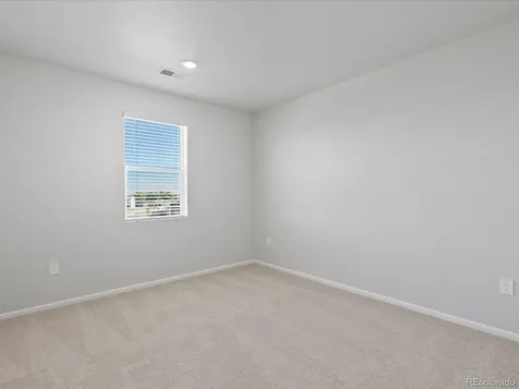 1637 Yampa River Drive Windsor CO 80550