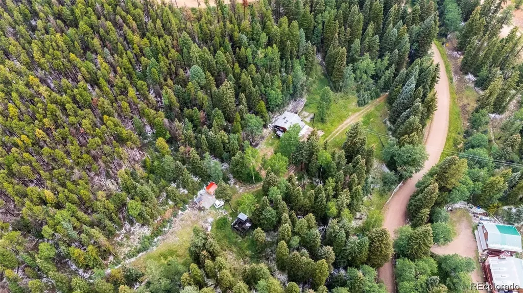 11173 S Barney Gulch Road Conifer CO 80433
