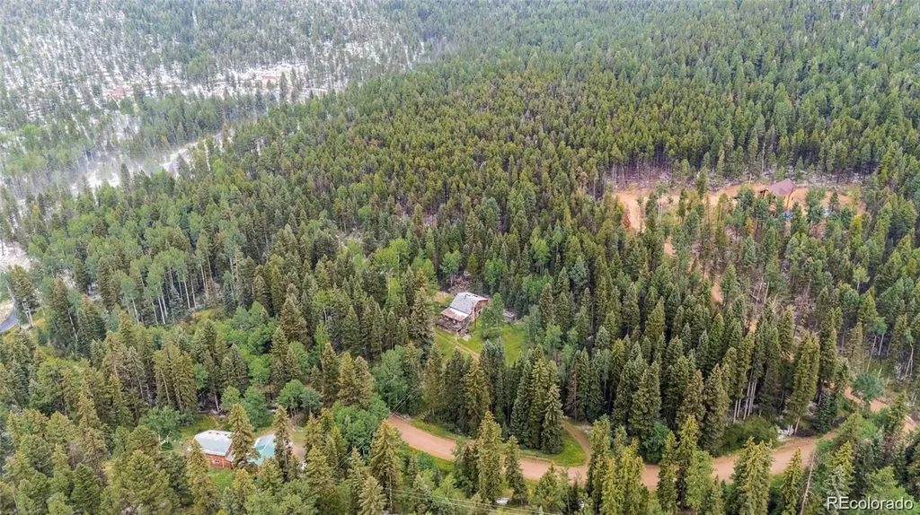 11173 S Barney Gulch Road Conifer CO 80433