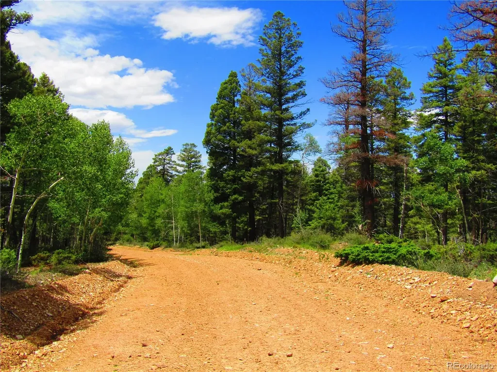 Lot 6082 Stella Road San Luis CO 81152