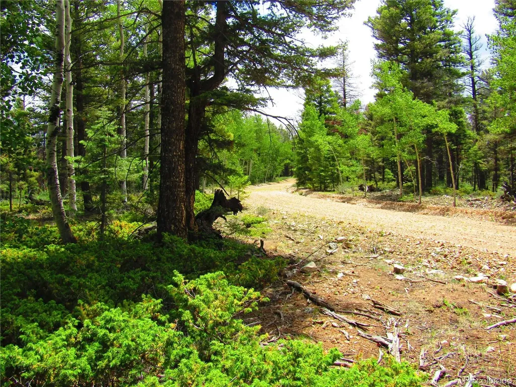 Lot 6082 Stella Road San Luis CO 81152
