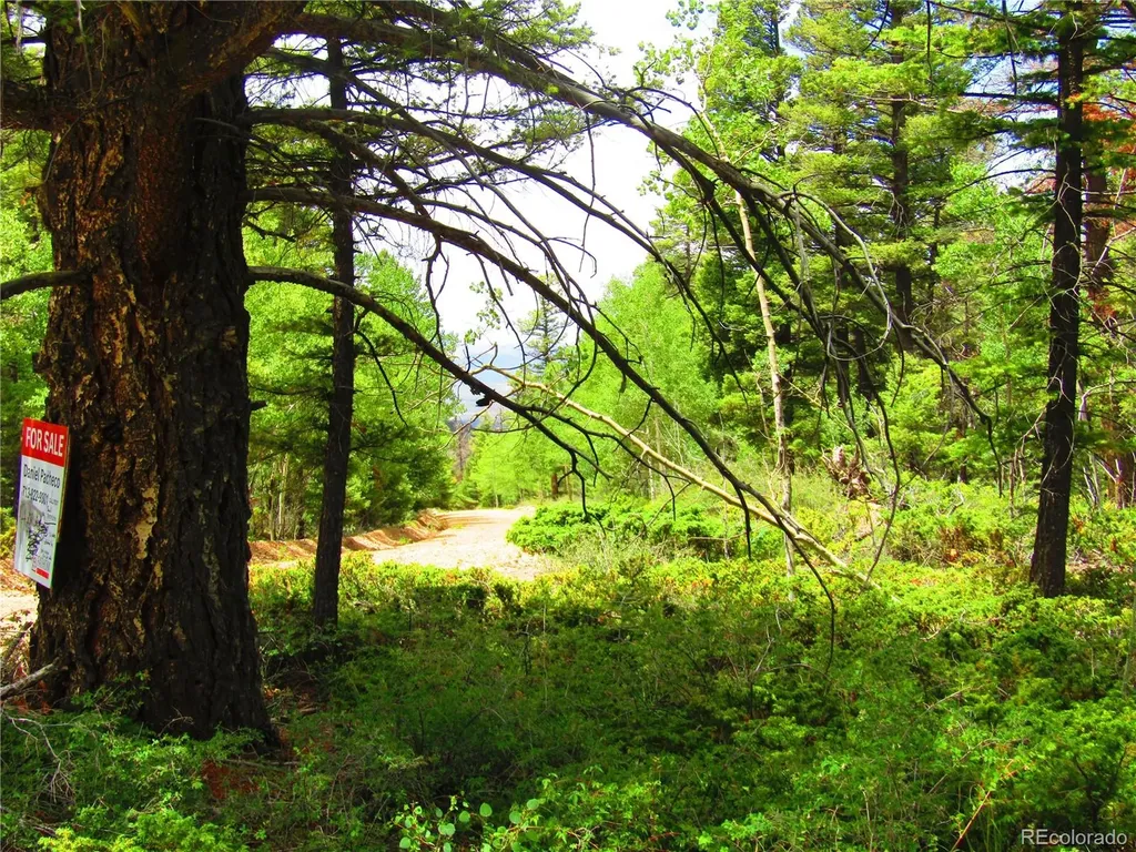 Lot 6082 Stella Road San Luis CO 81152