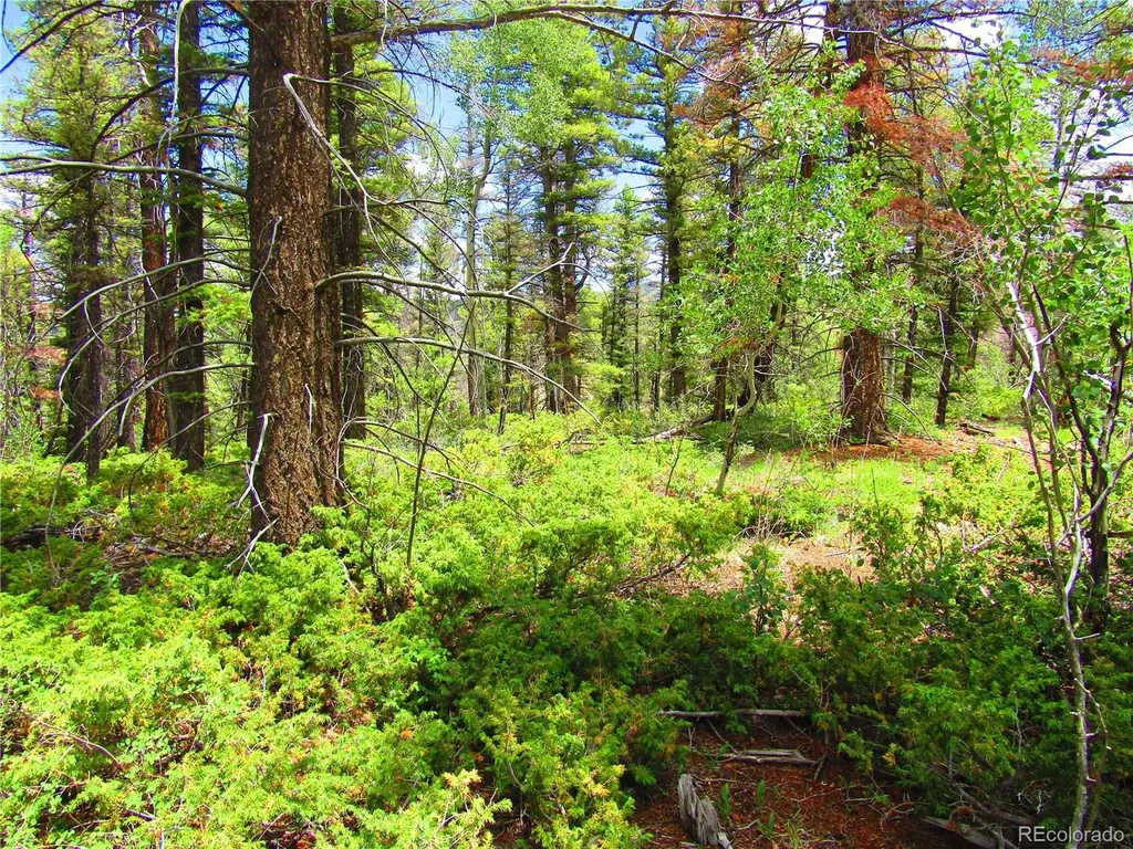 Lot 6082 Stella Road San Luis CO 81152