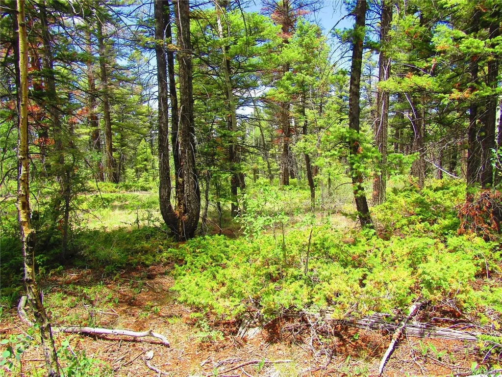 Lot 6082 Stella Road San Luis CO 81152