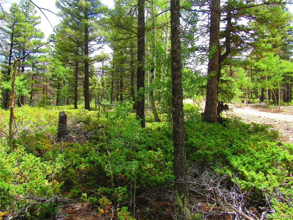Lot 6082 Stella Road San Luis CO 81152