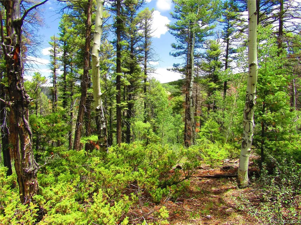 Lot 6082 Stella Road San Luis CO 81152