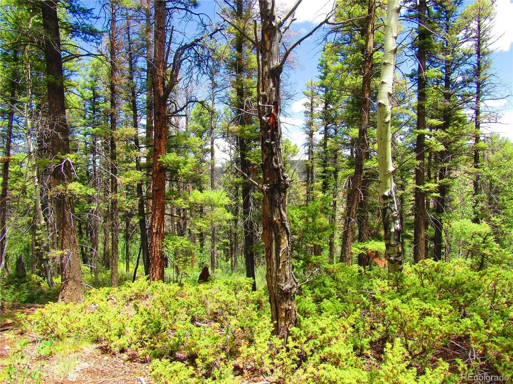 Lot 6082 Stella Road San Luis CO 81152