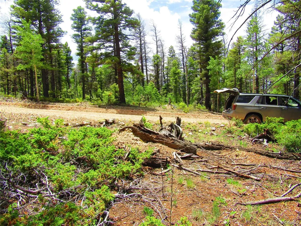 Lot 6082 Stella Road San Luis CO 81152