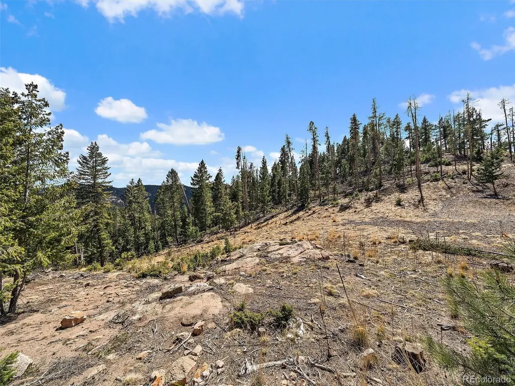 32634 Lodgepole Circle Evergreen CO 80439