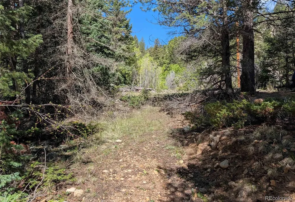 Highway 103 & Cascade Creek Road Idaho Springs CO 80452