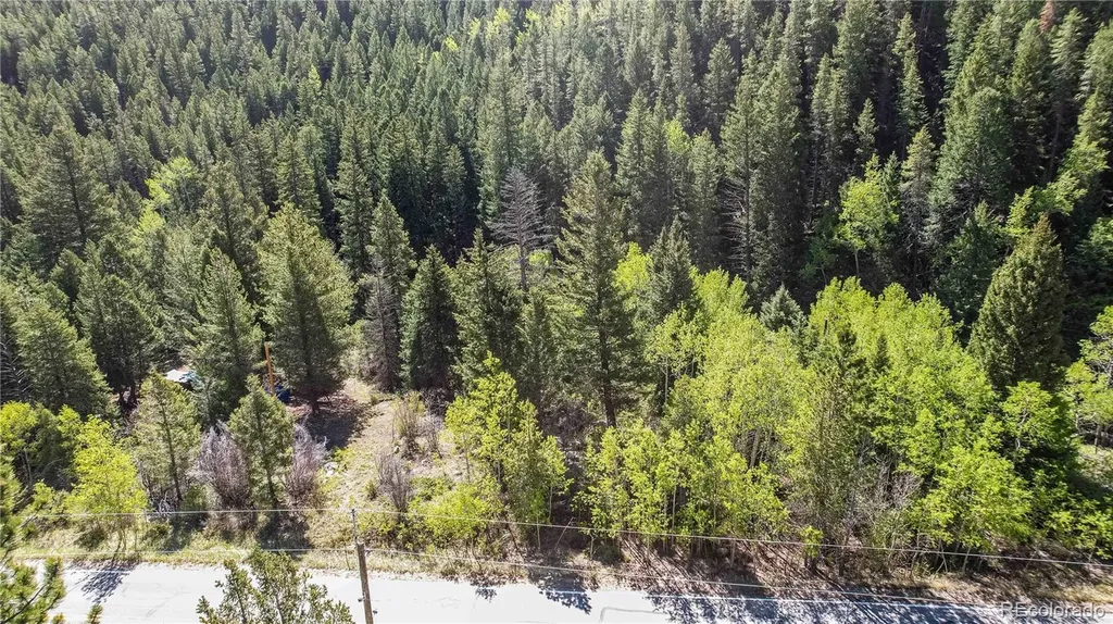 Highway 103 & Cascade Creek Road Idaho Springs CO 80452