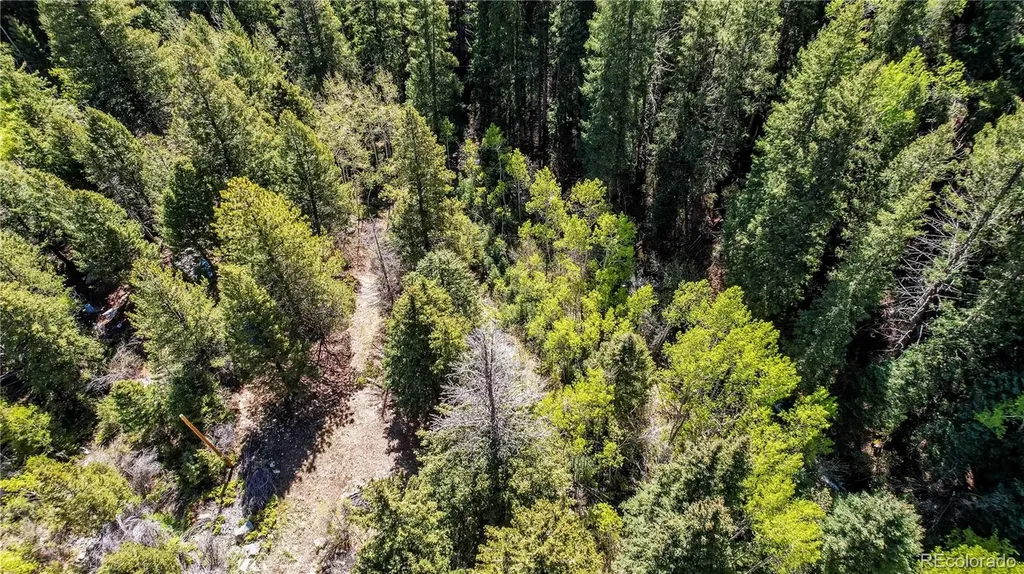 Highway 103 & Cascade Creek Road Idaho Springs CO 80452