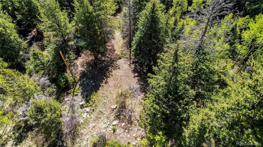Highway 103 & Cascade Creek Road Idaho Springs CO 80452