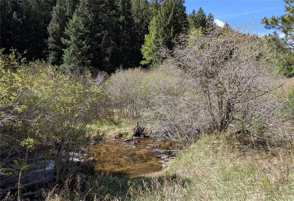 Highway 103 & Cascade Creek Road Idaho Springs CO 80452